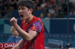 开云体育登录-韩国队力克奥地利队，张本智和高光表现的简单介绍