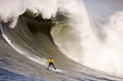 开云平台-黄蜂最后时刻击败吉林队，塔图姆成为关键先生