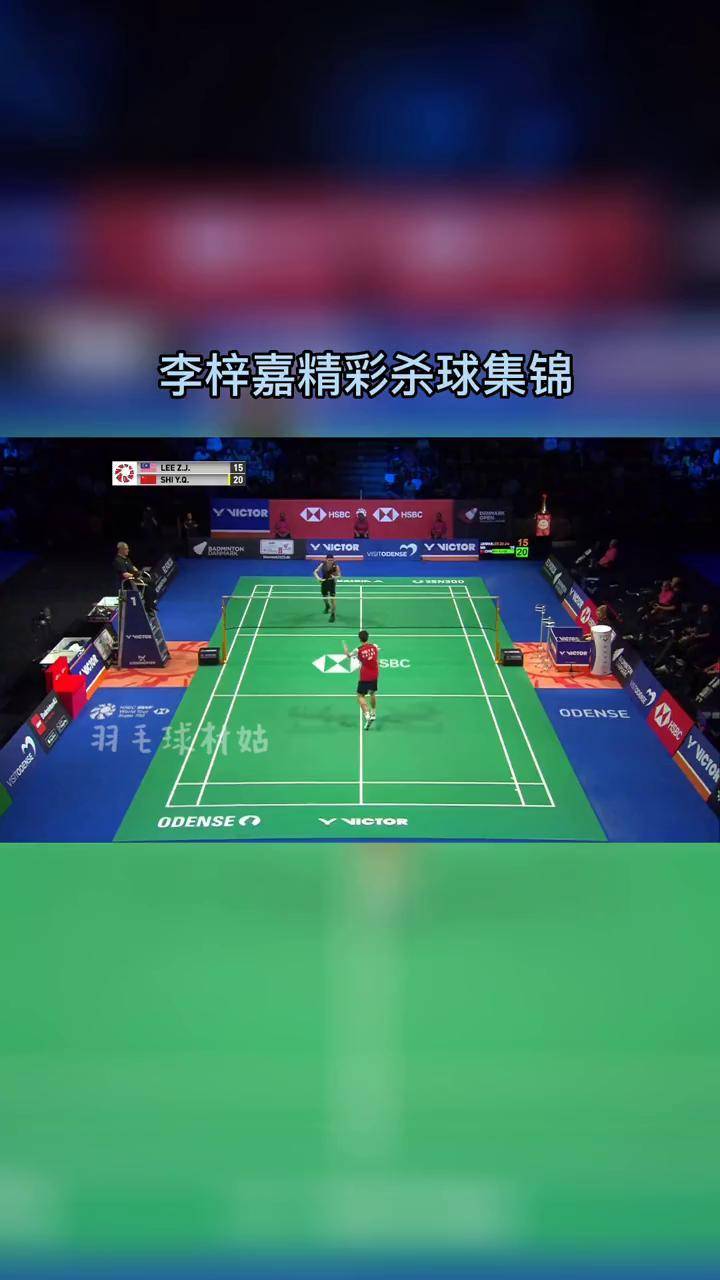 丹麦队绝杀法国队,李梓嘉扛起全队 丹麦队绝杀法国队,李梓嘉扛起全队