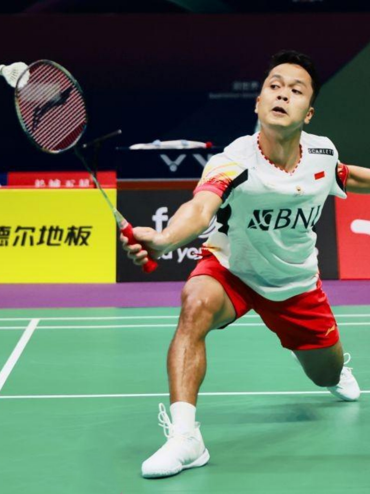 包含印尼羽毛球队横扫英格兰羽毛球队，陶菲克打破历史纪录的词条