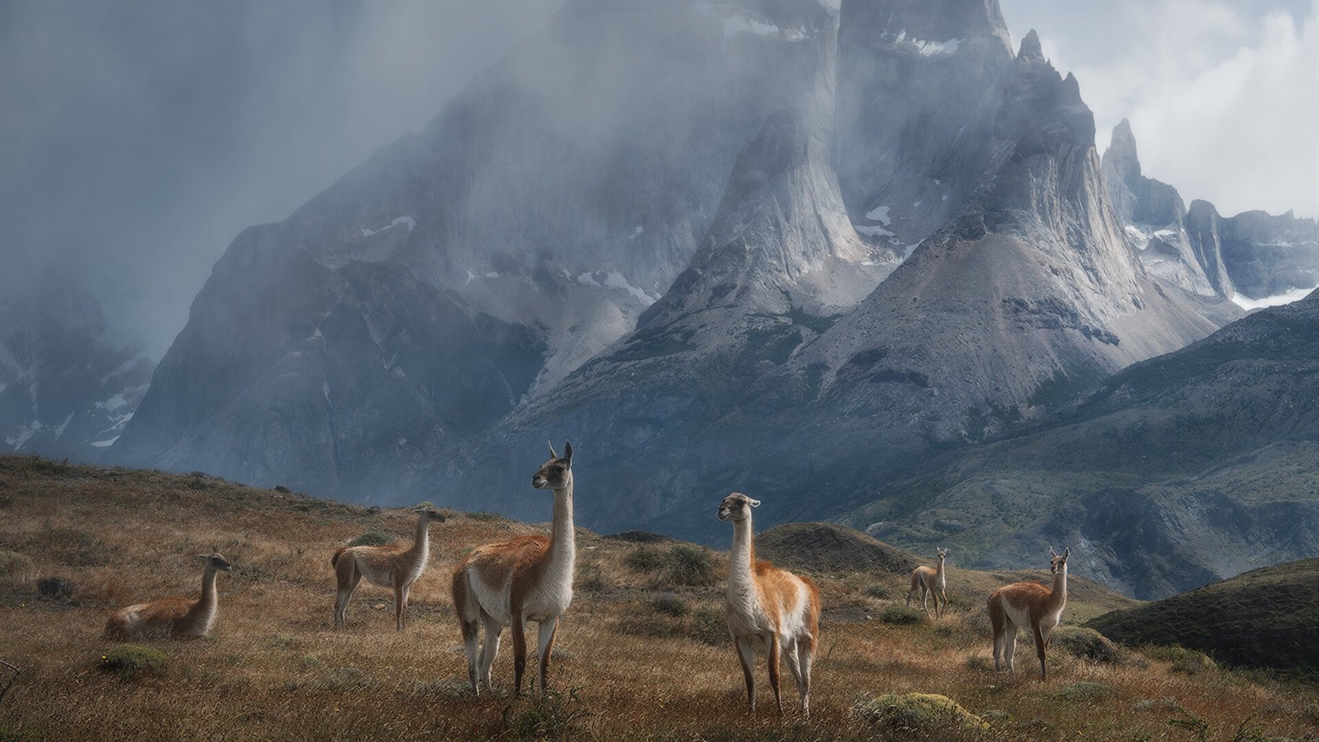 霍勒迪魔术时刻,一波流带走步行者,主宰比赛走向