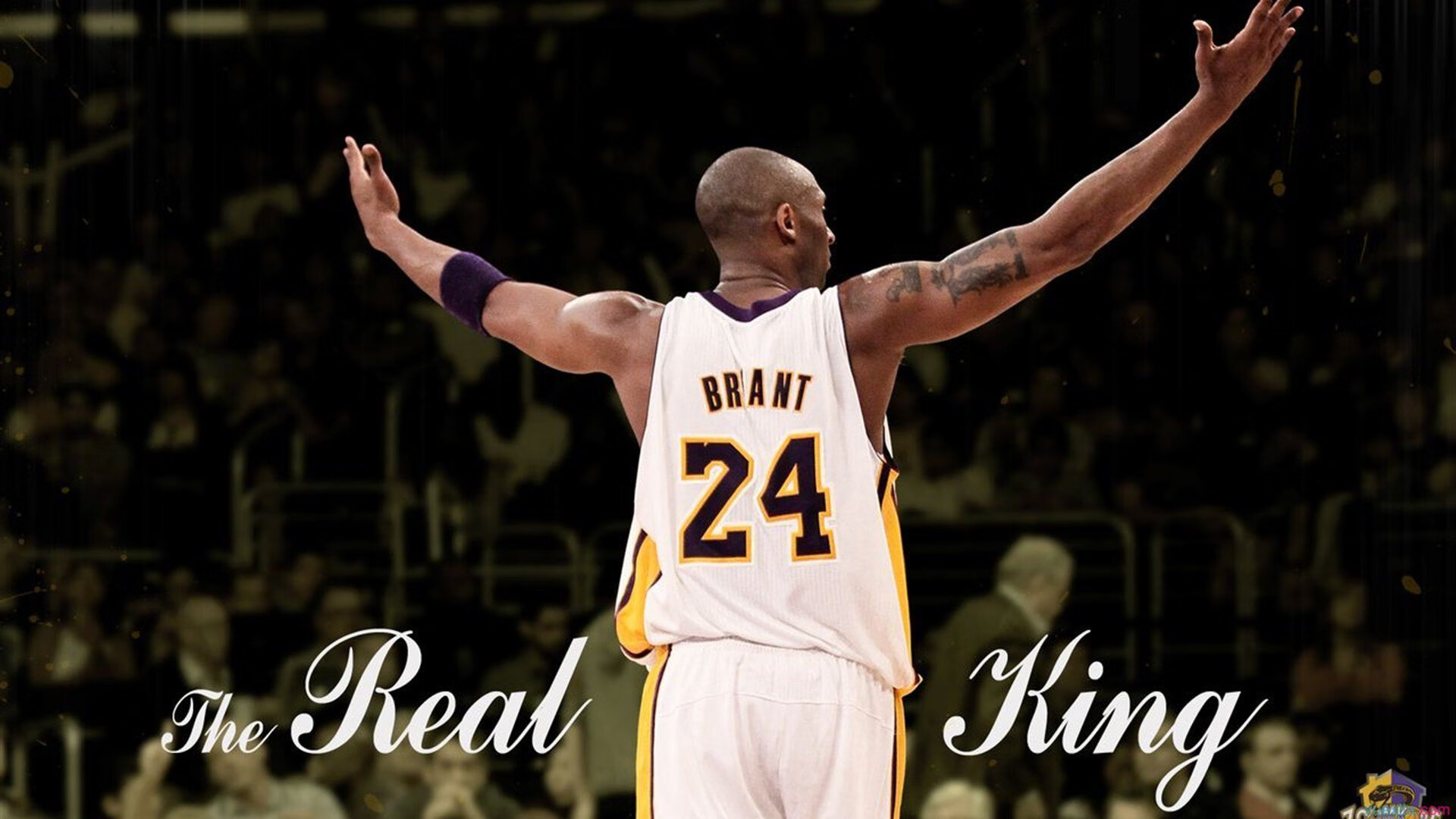 山西烽火遇灰熊，戈贝尔一柱擎天，主宰赛场风云